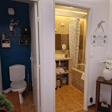 L'estivaliere Apartment Golfe-Juan