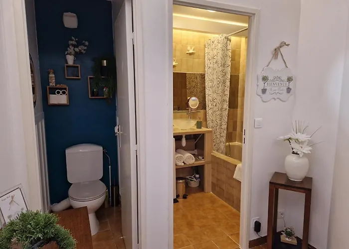 L'estivaliere Apartman Golfe-Juan